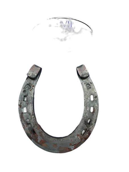 AB 1/2 x 1 Walking Horse Pleasure #2 Horseshoe