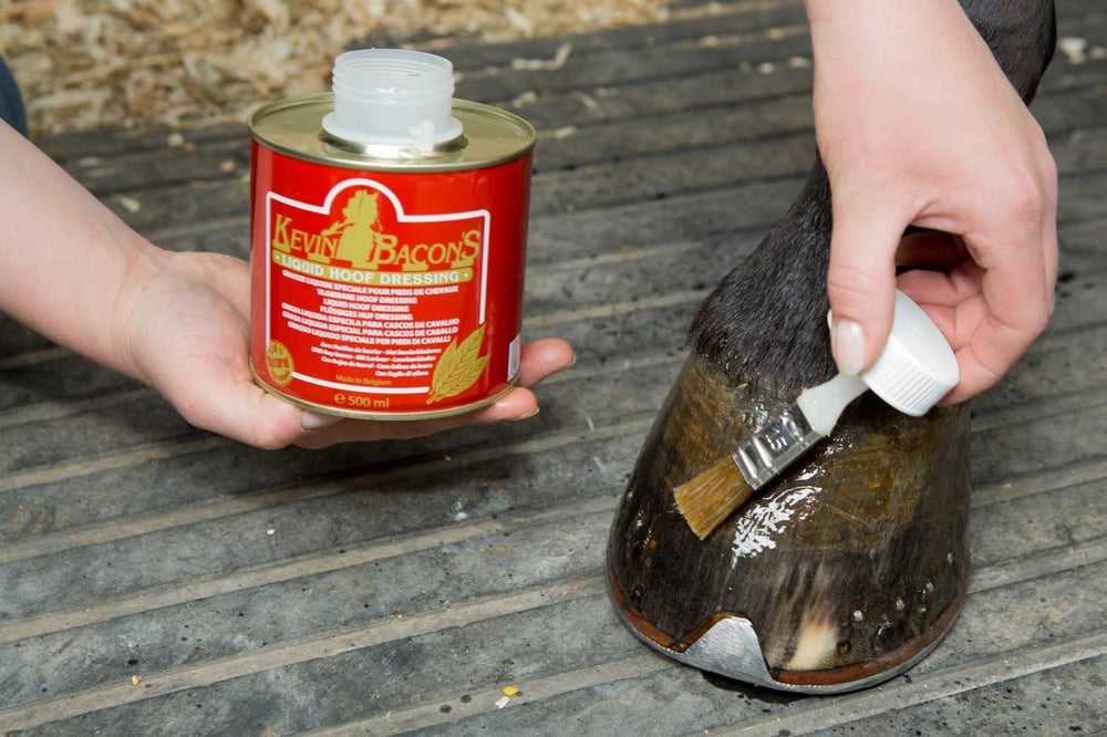 
                  
                    Kevin Bacon's 500 ml Liquid Hoof Dressing - Anvil Brand
                  
                